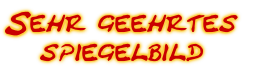 Sehr geehrtes
spiegelbild
