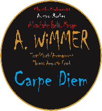 A WIMMER feat LF - CARPE DIEM - PB und Gesang NEU - MASTER MIX 4 - 16112020 MP3.mp3
